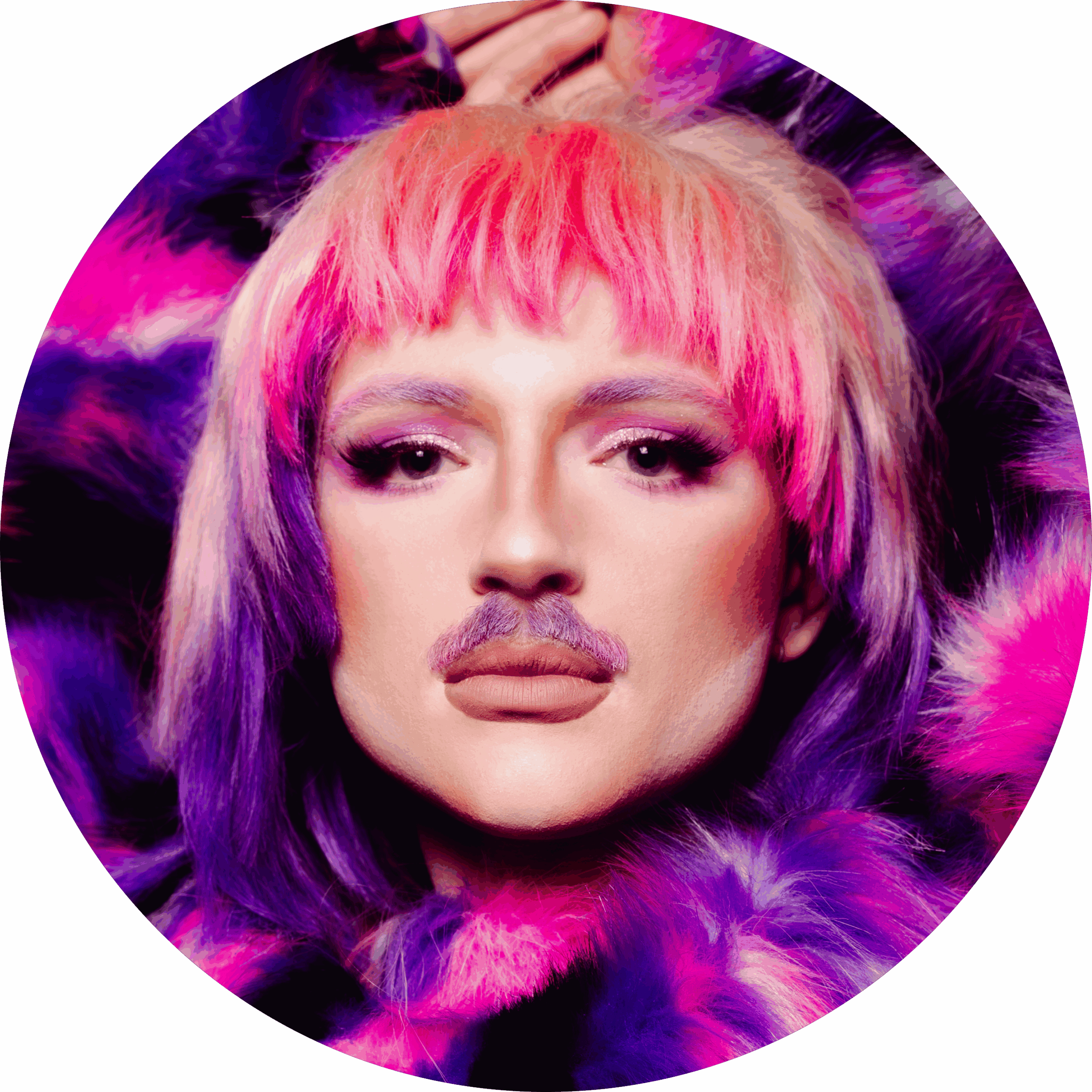 Polydoris Icon